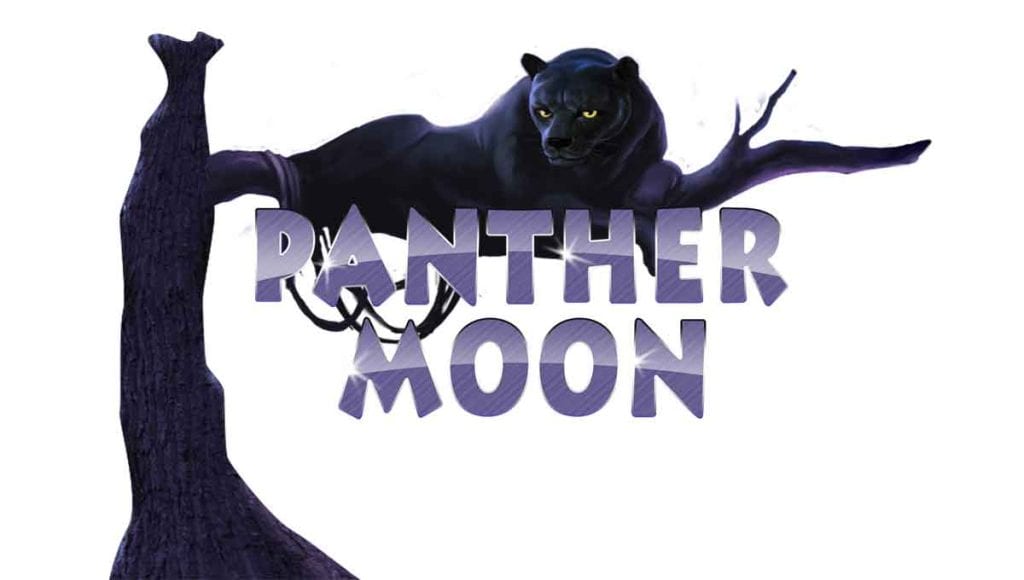 Misteri Hutan Malam Bersama Panther Moon