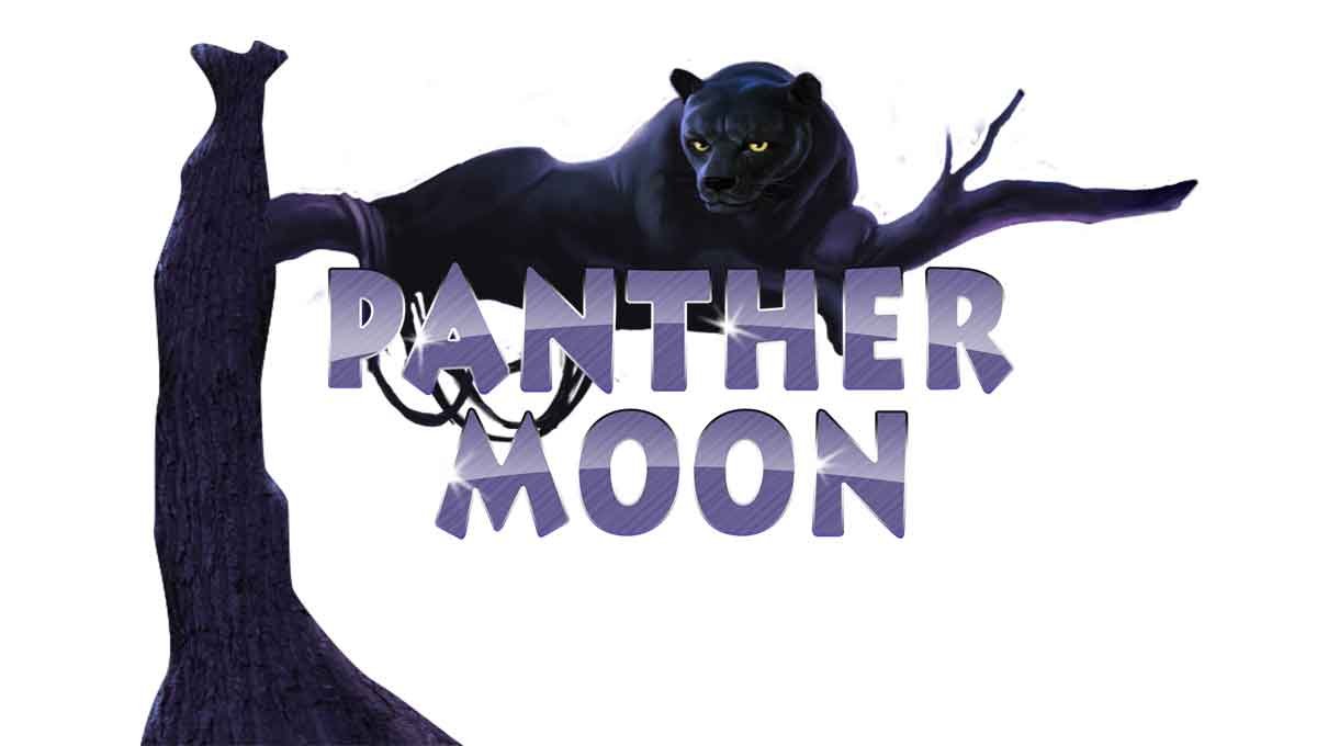 Misteri Hutan Malam Bersama Panther Moon