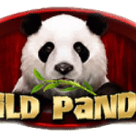 Wild Panda: Sensasi Seru Slot dari Spadegaming