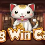 Menyelami Serunya Big Win Cat: Slot Seru dari Spadegaming